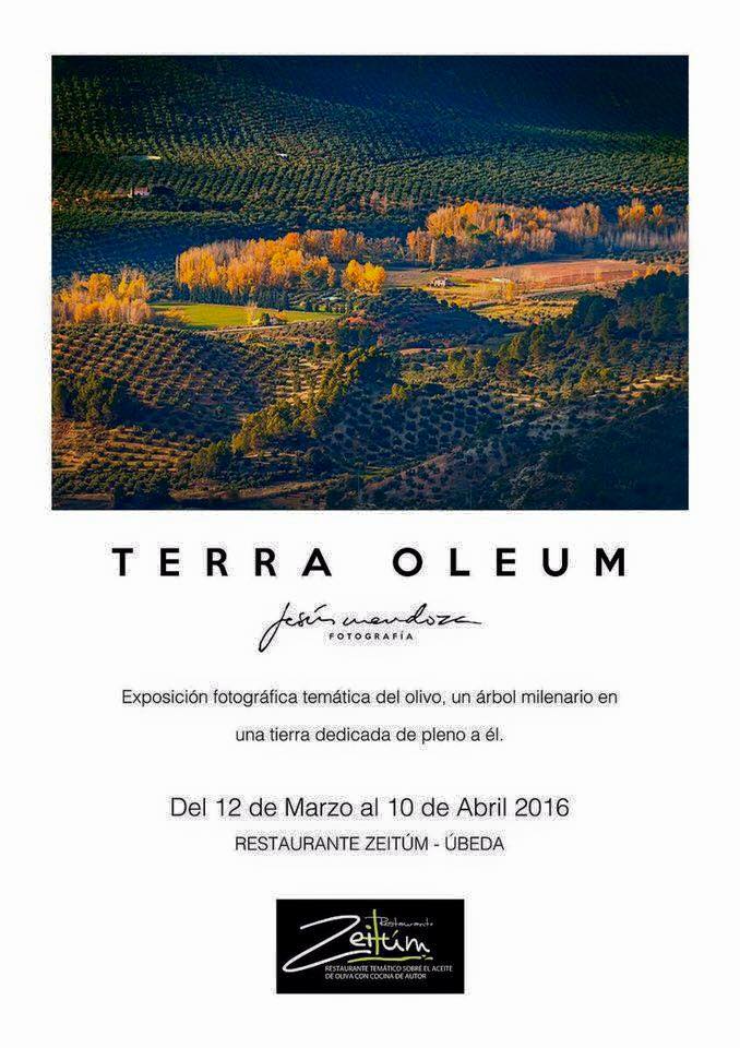 21478_831661260296503_6132596191464208347_n